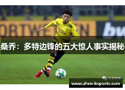 桑乔:多特边锋的五大惊人事实揭秘 桑乔:多特边锋的五大惊人事实揭秘
