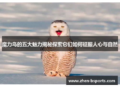 魔力鸟的五大魅力揭秘探索它们如何征服人心与自然