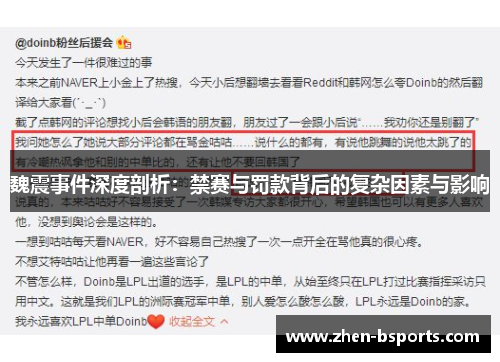 魏震事件深度剖析：禁赛与罚款背后的复杂因素与影响