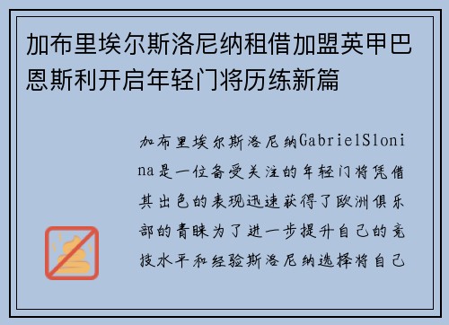 加布里埃尔斯洛尼纳租借加盟英甲巴恩斯利开启年轻门将历练新篇