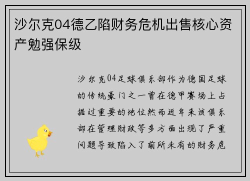 沙尔克04德乙陷财务危机出售核心资产勉强保级